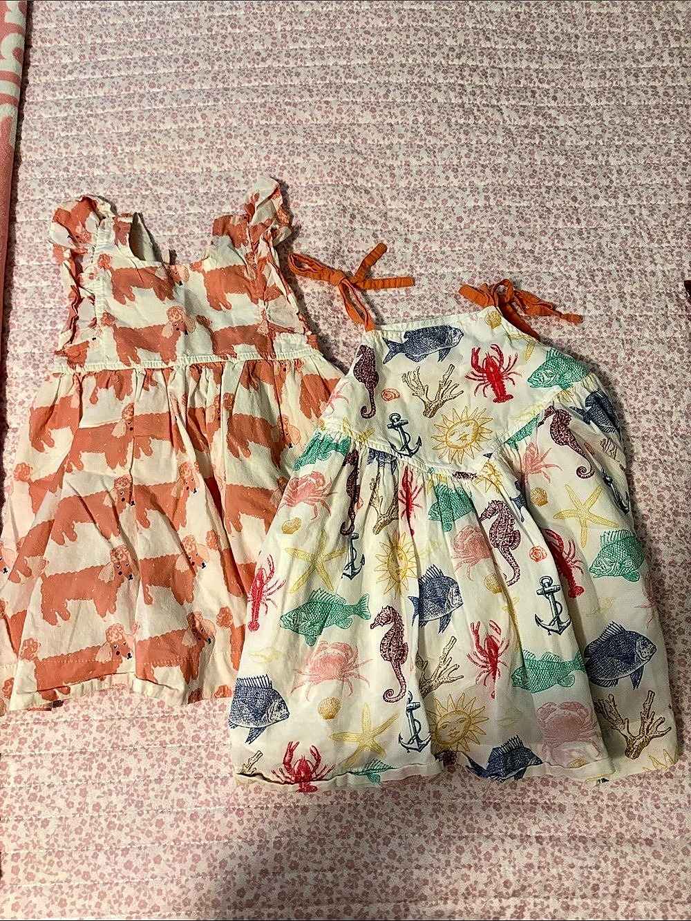 Pink Chicken Lot 2y